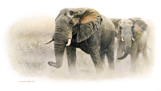 Elephants in Dust - 1998 A3 Print (Signed) R950.00